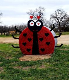 a ladybug made out of hay sitting in the grass