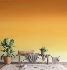 a living room with an orange wall and two potted plants