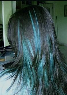 Cool Hair Inspiration, Chunky Highlights Blue And Black, Light Brown Hair With Purple Streaks, Striped Hair Color, Purple Racoon Tail Hair, Pfp For Mom Contact, Hair Colors To Dye Your Hair, Colored Hair Strands, Monster High Hair Dye