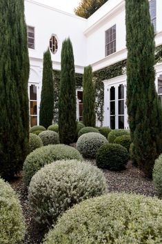 a house with many trees and bushes in front of it