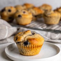 blueberry muffins sitting on a plate next to a tray of muffins