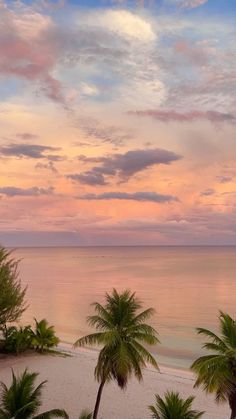 palm trees line the beach as the sun sets over the ocean in this tropical scene