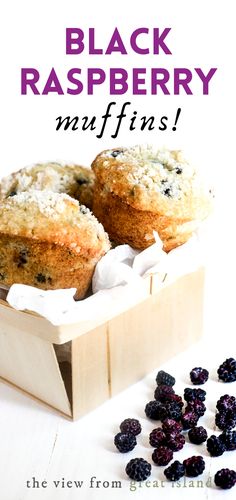 black raspberry muffins in a wooden box with raisins