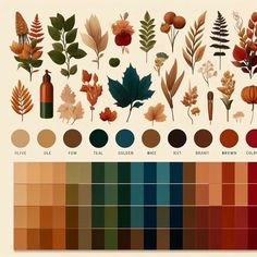 the color scheme for different types of leaves