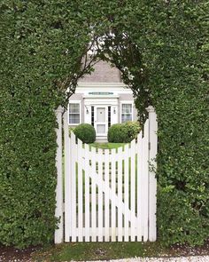 a white picket fence surrounded by green bushes