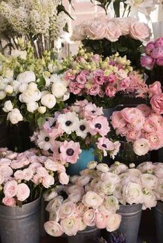 several buckets filled with pink and white flowers