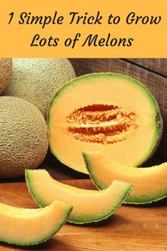 the cover of how to tell if your cantaloupe is ripe by coola