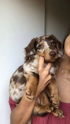 a woman holding a dog in her arms