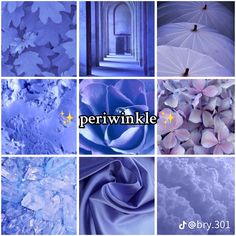 there are many different pictures with the words periwinkle