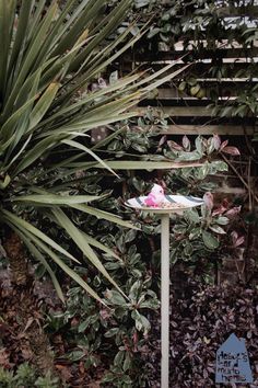 a birdbath sitting on top of a white pole next to a lush green bush