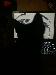 a black cat sitting in front of a laptop computer with its shadow on the screen