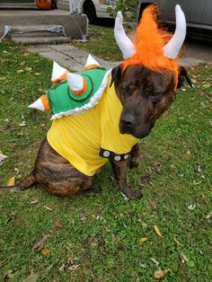 a dog wearing a costume with horns on it's head sitting in the grass