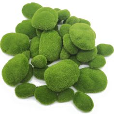 green moss balls on a white background