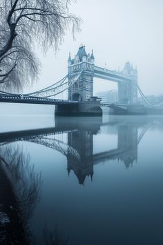 the tower bridge is surrounded by fog and trees