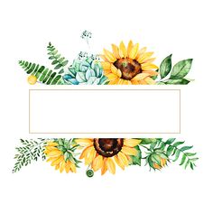 a watercolor painting of sunflowers and succulents on a white background