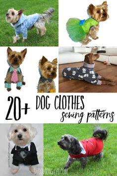 the top 20 dog clothes sewing patterns for dogs and their owners to sew on