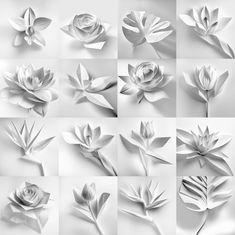 white flowers and leaves are arranged in the shape of an abstract flower, on a gray background