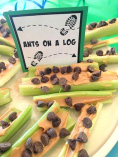 celery sticks topped with chocolate chips and peanut butter on a white plate next to an ant's on a log sign