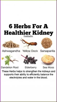 Kidney Healthy Foods, Healthy Kidneys, Food Health Benefits, Home Health Remedies, Cold Home Remedies, Herbs For Health, Kidney Health, Healthy Balance, Healing Food