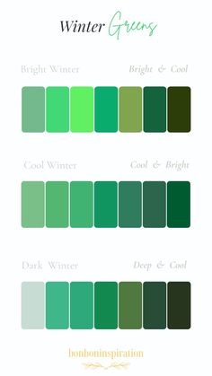 the color scheme for winter greens