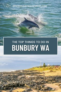 the top things to do in bunbury wa with text overlay that reads, the top things to do in bunbury wa