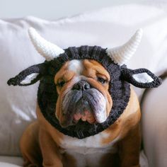 a dog wearing a hat with horns on it's head sitting on a couch