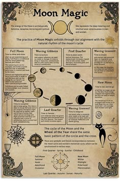 Zodia Pești, Witch Poster, Sejarah Asia, Witch Things, Moon Magick, Buku Harry Potter, Wiccan Magic, Magic Spell Book, Magic Witch