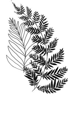 a black and white drawing of leaves