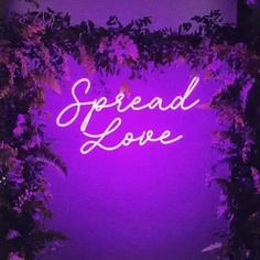 Spread Love Wedding Neon Sign - An enchanting display of glowing neon lights spreading love and warmth into the night from manhattonneons.com Neon Words, Purple Neon, Sign Image, Romantic Lighting, Wedding Neon Sign, Neon Design, Neon Wedding, Neon Glow, Pretty Purple