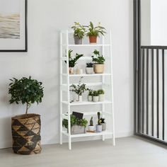 a white shelf filled with plants next to a potted plant on top of a wooden floor