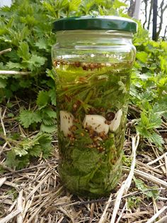 a jar filled with food sitting on top of a pile of grass next to plants