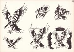 an old school tattoo flash sheet with eagle designs