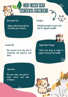 an info sheet describing the benefits of cat care