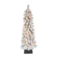 a white christmas tree with lights and snow on the branches, against a white background