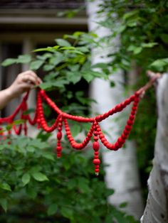 red string hanging from the side of a tree