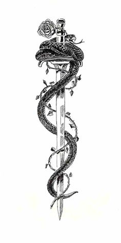 Cool maybe with scorpion and flower instead Swords Snake Tattoo, Swords And Roses Tattoo, Snake On A Rose Tattoo, Stab In The Back Tattoo, Dragon Tattoo Designs With Swords, Men Back Of Arm Tattoo, Snake Around Dagger Tattoo, Snake With Swords Tattoo, Snake Tattoo Design Back