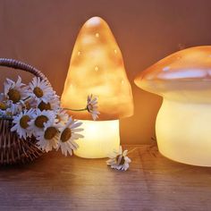 two lamps sitting next to each other on top of a wooden table with daisies in front of them