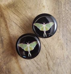 two glass buttons with a moth on them