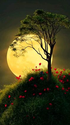 a full moon is seen behind a tree with red flowers in the foreground and grass on the ground