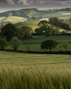 a green field with trees and hills in the background under a dark sky filled with clouds