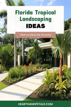 A curated Florida tropical landscaping setup with palm trees, vibrant green shrubs, and a modern pathway featuring white stones and pavers. Modern Florida Front Yard Landscaping, Center Island Landscape Front Yards, Landscape Design In Florida, Landscape Design Front Of House Florida, Landscape Design Florida, Zone 9 Landscaping Florida, Florida Tropical Landscaping Ideas, Central Florida Landscaping Ideas