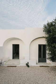 two black doors are on the side of a white building with cactus in front of it