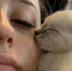 a close up of a person kissing a cat