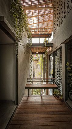 an outdoor area with wooden benches and plants on the roof, surrounded by concrete walls