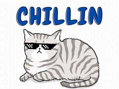 a cat wearing sunglasses with the word chillin on it's chest and sitting down