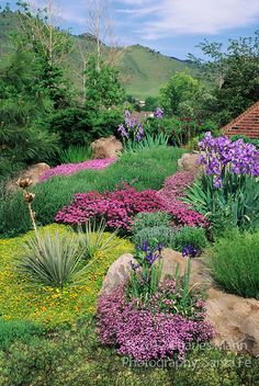 the garden is full of colorful flowers and plants