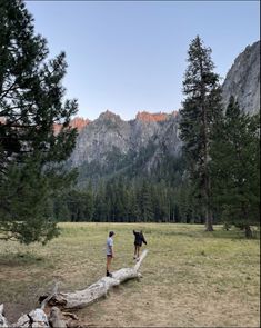 two people standing on a log in the middle of a field with mountains in the background