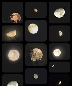 the moon and its phases are shown in multiple pictures, including one with an elephant on it