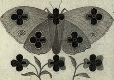 a black and white drawing of a butterfly on flowers