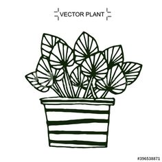 a potted plant with green leaves on a white background, hand drawn line art